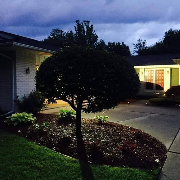 Meet your Posher, David - Picture 1 of 1